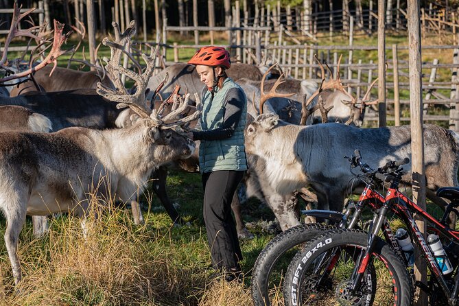 Electric Fatbike Trip to the Reindeer Farm - Coffee, cinnamon cookies, and a fire
