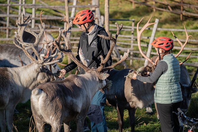 Electric Fatbike Trip to the Reindeer Farm - Who will enjoy this most