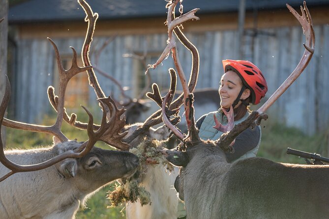 Electric Fatbike Trip to the Reindeer Farm - The first 45 minutes through Lapland forest