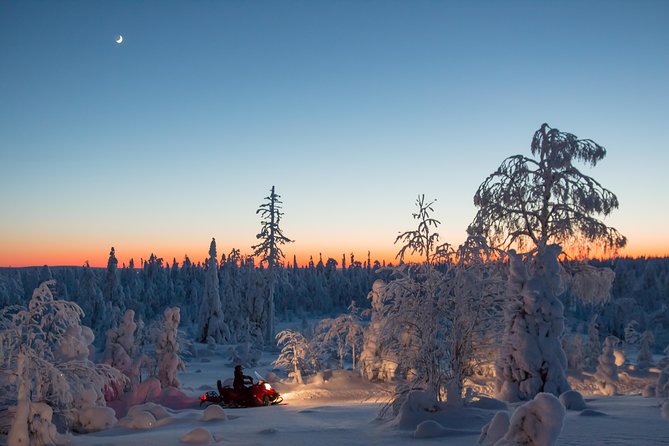 Evening Escape - Snowmobile safari and campfire in Rovaniemi - The campfire stop in the forest