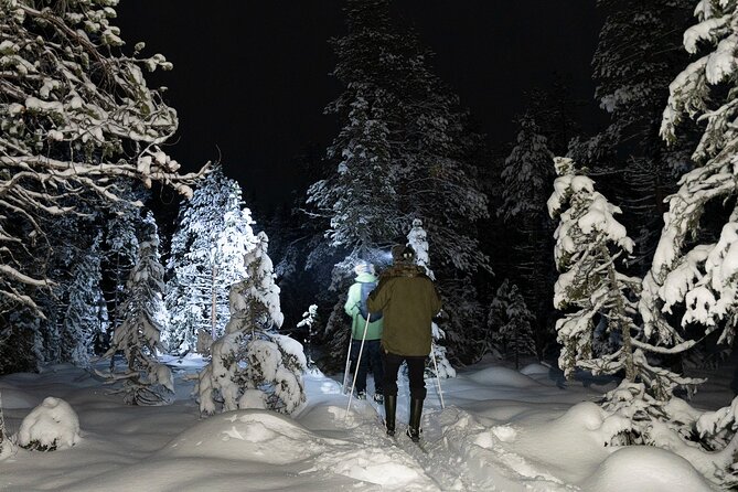 Evening Ski Trek to the Wilderness - Extra Small group - Headlamps, snow, and the quiet of the forest