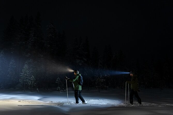 Evening Ski Trek to the Wilderness - Extra Small group - Clothing and comfort in Arctic darkness