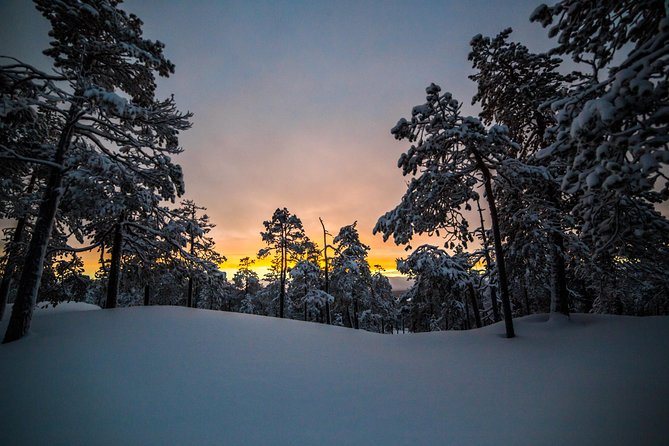 Explore the Wilderness - The value of $161.77