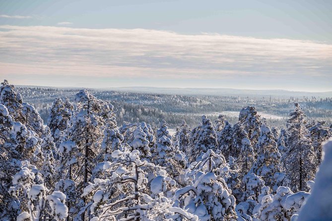 Explore the Wilderness - Who will enjoy this half-day outing