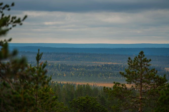 Explore the Wilderness (Summer & Autumn) - Vikaköngäs and the first forest walk