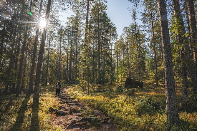 Explore the Wilderness (Summer & Autumn) - Finding several photo locations in the Lappish wilderness