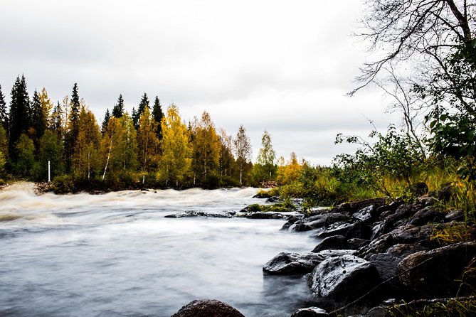 Explore the Wilderness (Summer & Autumn) - Meeting in central Rovaniemi at 10:00