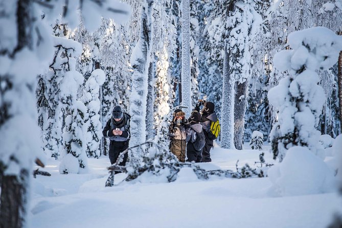 Explore the Wilderness - A 4-kilometer walk through Arctic terrain
