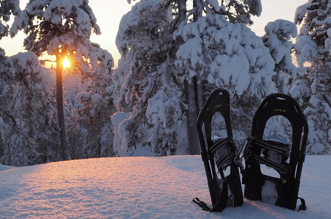 Explore Winter Woods: Snowshoe walk with local Biologist - What the 114 dollar price includes in practical terms