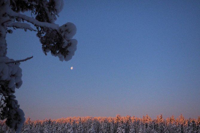 Explore Winter Woods: Snowshoe walk with local Biologist - Meeting Terhi and Arto at 10:00 am