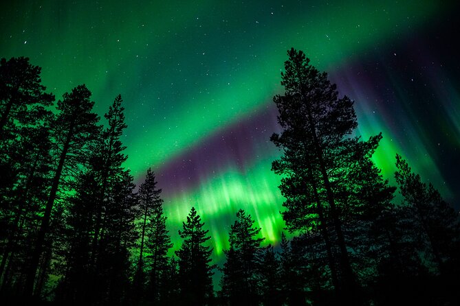 Family-Friendly: Northern Lights Adventure from Rovaniemi - Is $126.16 a fair price?