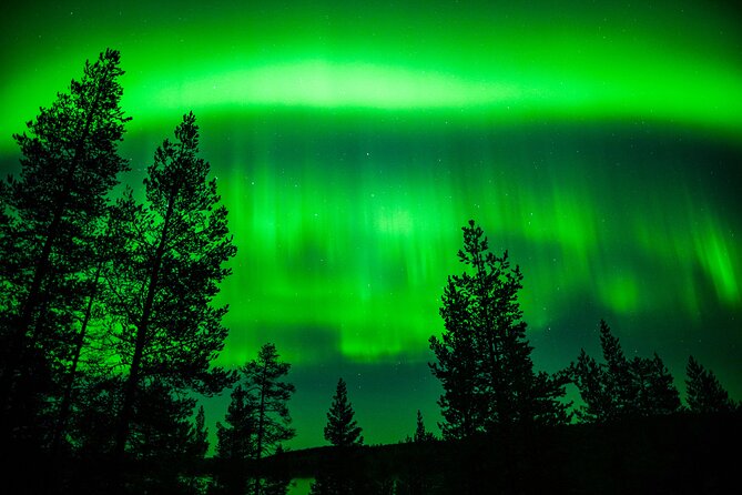 Family-Friendly: Northern Lights Adventure from Rovaniemi - Who should choose this evening?