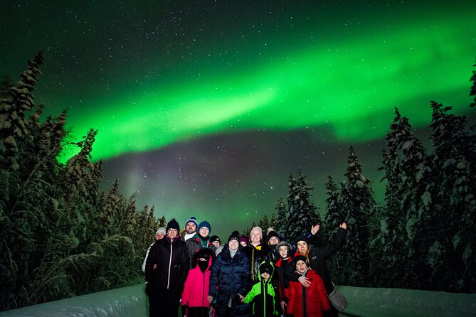 Family-Friendly: Northern Lights Adventure from Rovaniemi - Searching the Lapland sky