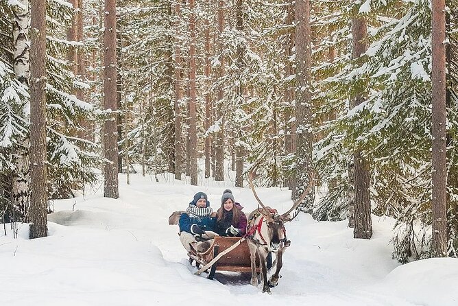 Forest Trail Reindeer Safari - Winter clothing, warm drinks, and comfort