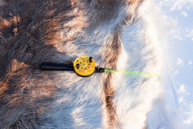 From Ivalo: Ice Fishing Safari to Lake Inari, reindeers & lunch - Reindeer, an island visit, and a warmer break