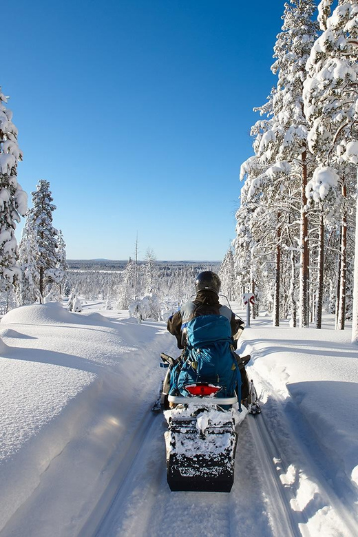 From Rovaniemi: 2-Hour Snowmobile Safari - Price, damage liability, and what the $146 buys