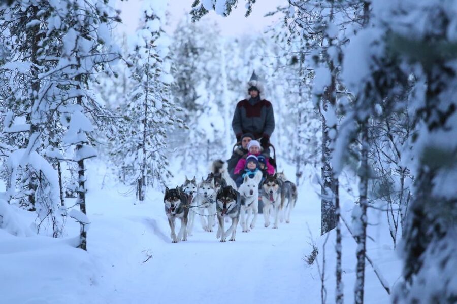 From Rovaniemi: 5km Husky Sleigh Ride - Key points to know before booking