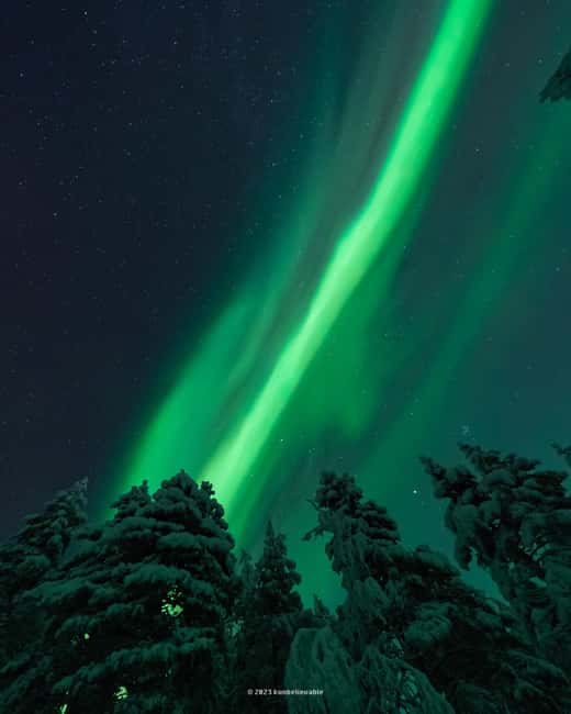 From Rovaniemi: Aurora Borealis Hunting with Photos & Videos - What the photo session is like
