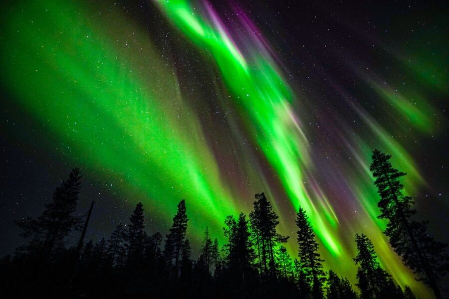 From Rovaniemi: Family-Friendly Northern Lights Tour - Getting dressed for a genuinely cold night