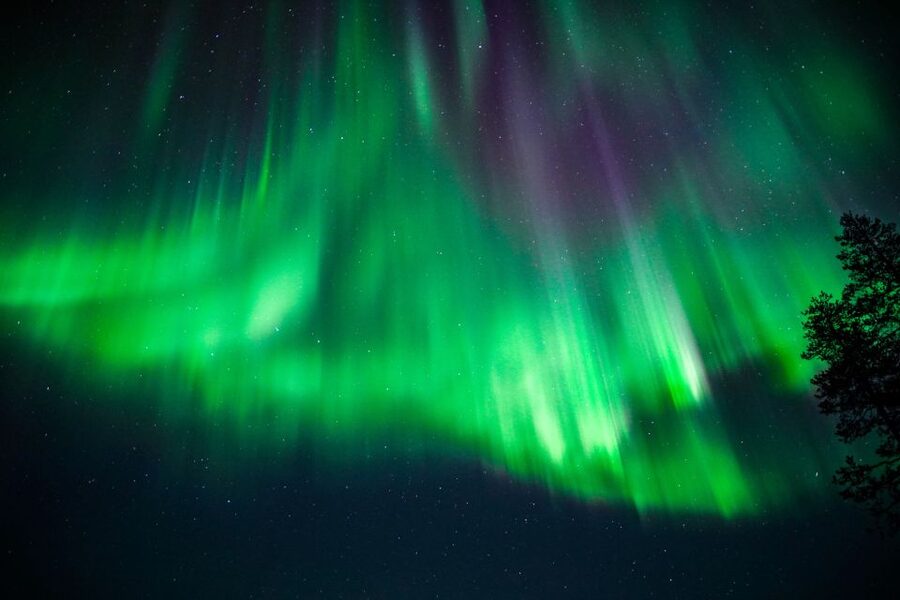 From Rovaniemi: Family-Friendly Northern Lights Tour - How much value is there in the $123 price?