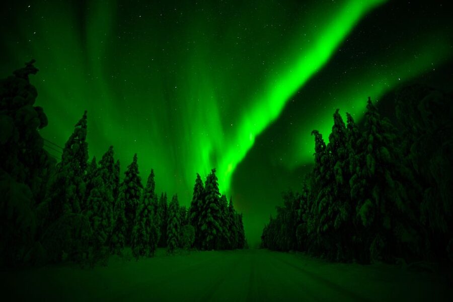From Rovaniemi: Family-Friendly Northern Lights Tour - Guides make the difference for children