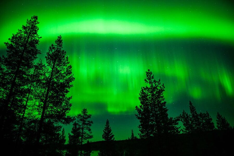 From Rovaniemi: Family-Friendly Northern Lights Tour - When the Northern Lights do not appear