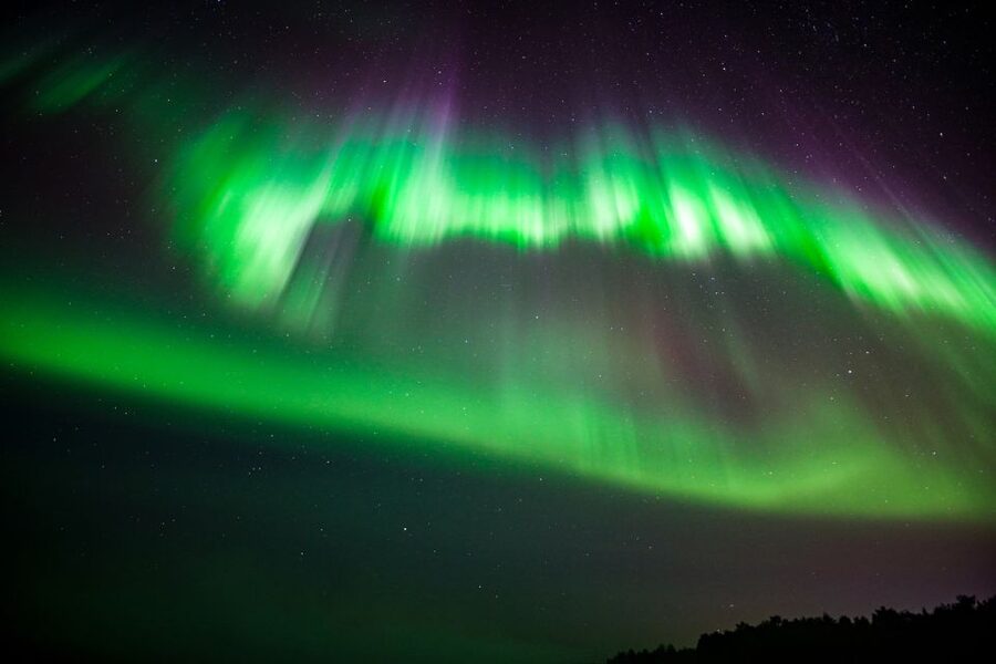 From Rovaniemi: Family-Friendly Northern Lights Tour - The private forest stop and the wait for the aurora