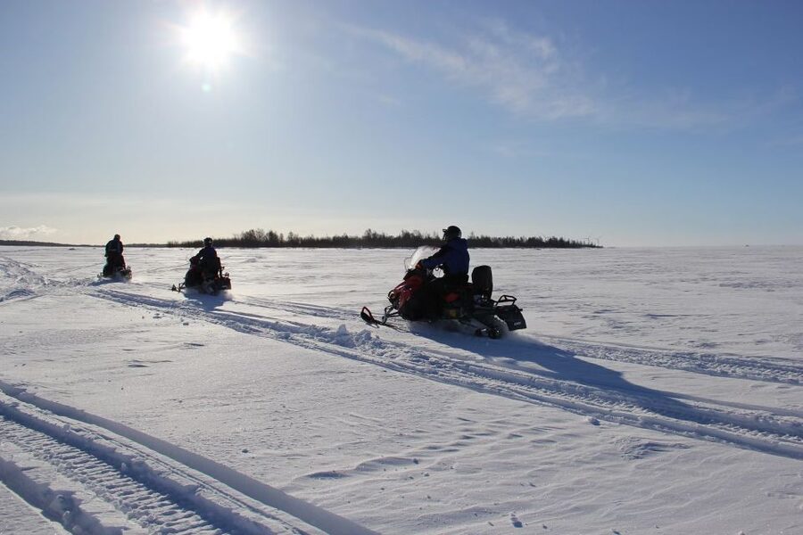 From Rovaniemi: Guided Lapland Snowmobile Adventure - The guide makes the difference