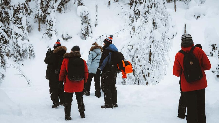 From Rovaniemi: Korouoma & Auttiköngäs Frozen Waterfalls - The campfire is more than a lunch break