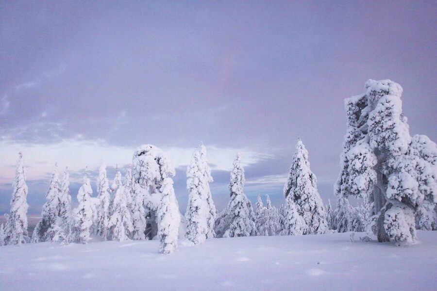 From Rovaniemi: Korouoma Canyon and Frozen Waterfalls Tour - Starting the 5-kilometer canyon hike