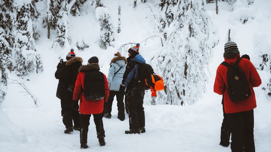 From Rovaniemi: Korouoma Canyon and Frozen Waterfalls Tour - Guides make the difference