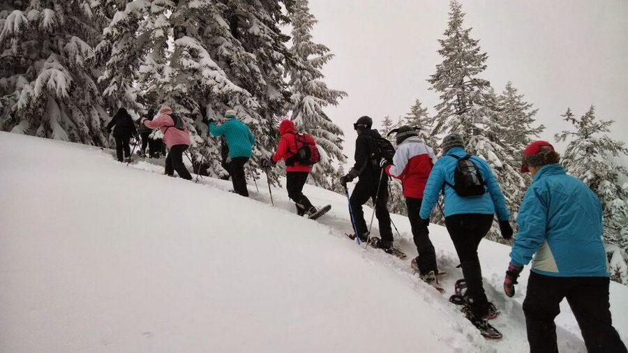 From Rovaniemi: Korouoma Frozen Waterfalls Small-Group Hike - Following the 5 km snowy trail