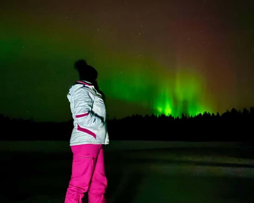 From Rovaniemi: Night Tour in Search of the Aurora with BBQ - Stop one: the first Arctic setting and the fireplace
