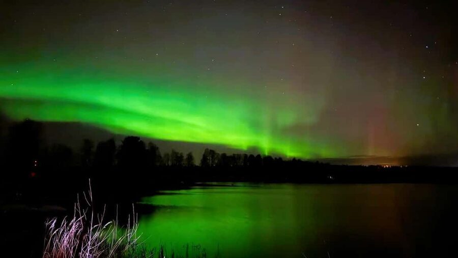 From Rovaniemi: Night Tour in Search of the Aurora with BBQ - Stop two: a viewpoint with tea and open sky