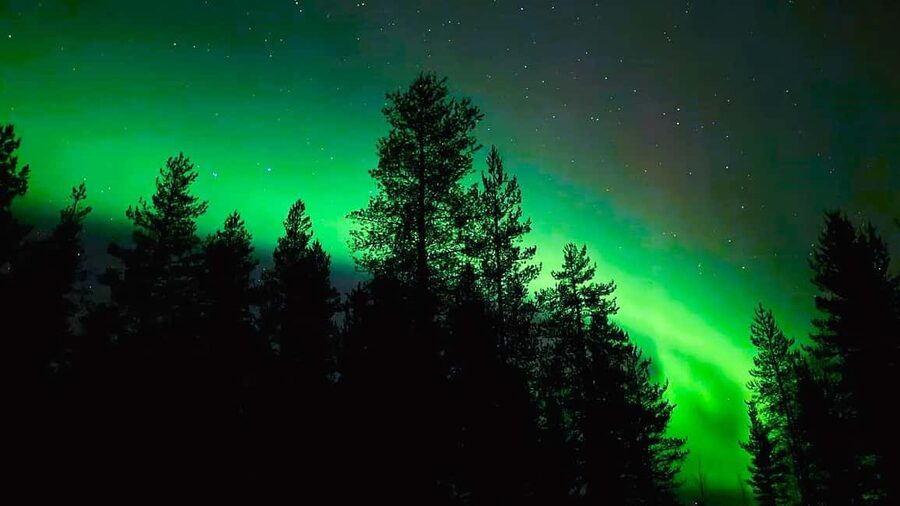 From Rovaniemi: Night Tour in Search of the Aurora with BBQ - What happens when the lights do not appear