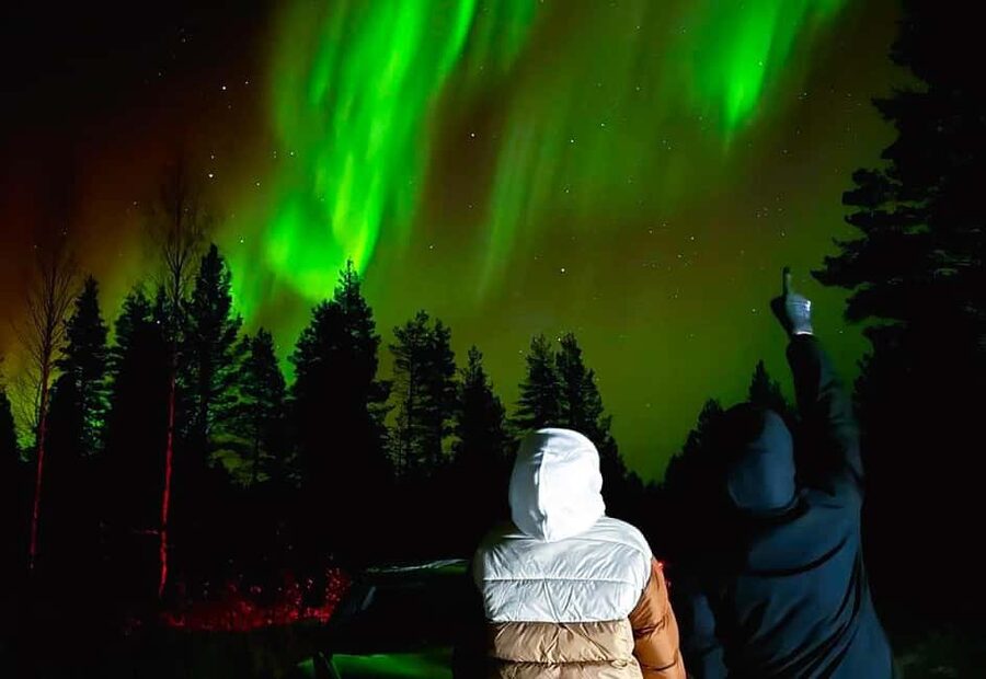 From Rovaniemi: Night Tour in Search of the Aurora with BBQ - Pickup details that matter in winter