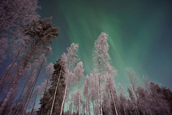 From Rovaniemi: Northern Lights Tour with Campfire Snacks - Why the campfire matters as much as the aurora