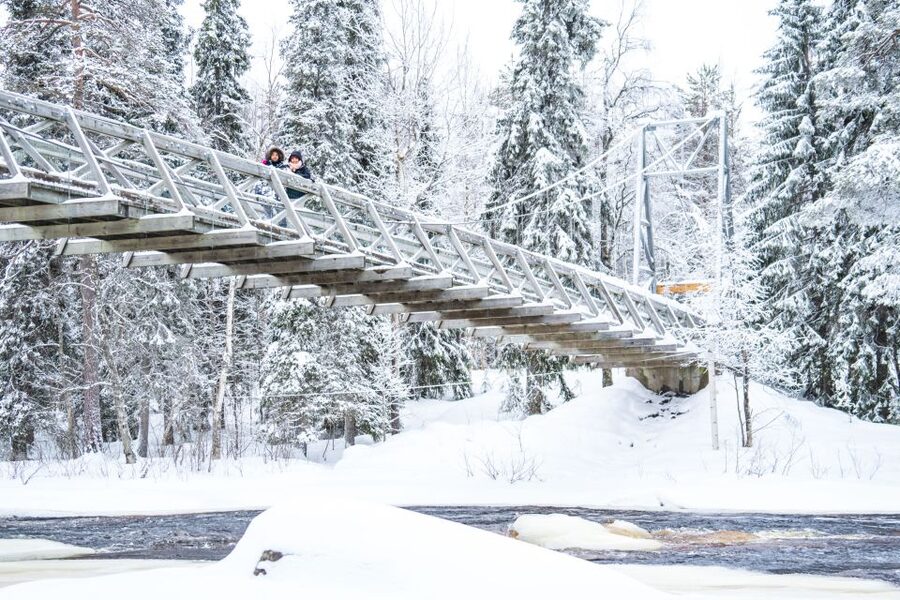 From Rovaniemi: Private Photoshoot in the Lappish Wilderness - Forest, water, and snow as your backdrop