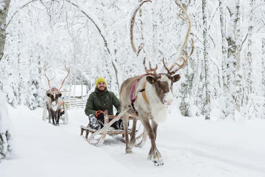 From Rovaniemi: Reindeer Farm Visit with Sleigh Ride - Leaving Rovaniemi for a working reindeer farm