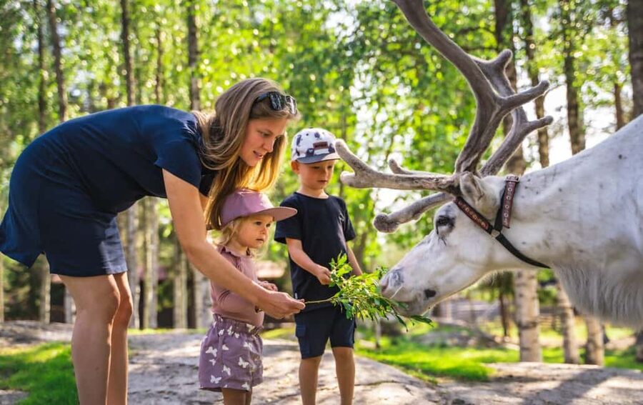 From Rovaniemi: Reindeer Farm Visit with Sleigh Ride - How this compares with other winter activities