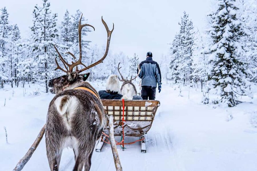 From Rovaniemi: Reindeer Farm Visit with Sleigh Ride - Should you book the Rovaniemi reindeer farm visit?