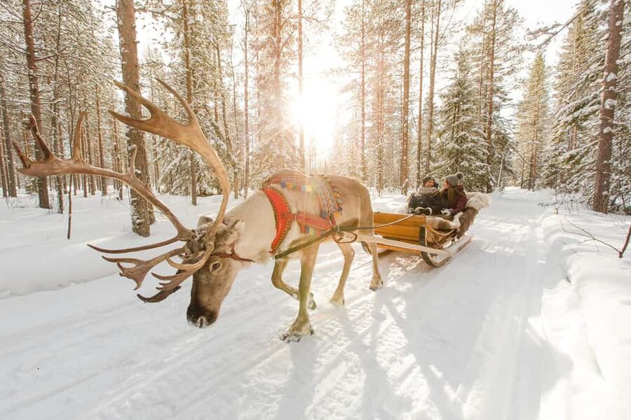 From Rovaniemi: Reindeer Farm Visit with Sleigh Ride - Stories inside the kota hut