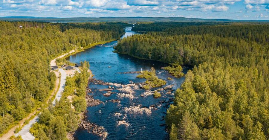 From Rovaniemi: Vikaköngäs Forest Hiking Tour - Vikaköngäs gives you a quick taste of Finnish wilderness