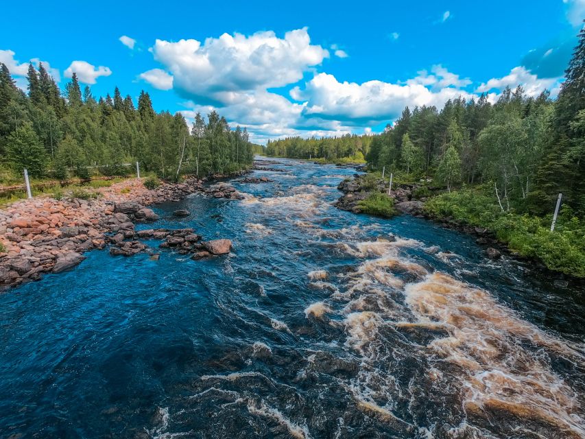 From Rovaniemi: Vikaköngäs Forest Hiking Tour - The pickup from Rovaniemi keeps the outing simple