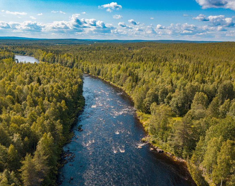 From Rovaniemi: Vikaköngäs Forest Hiking Tour - Who will enjoy this guided forest visit?