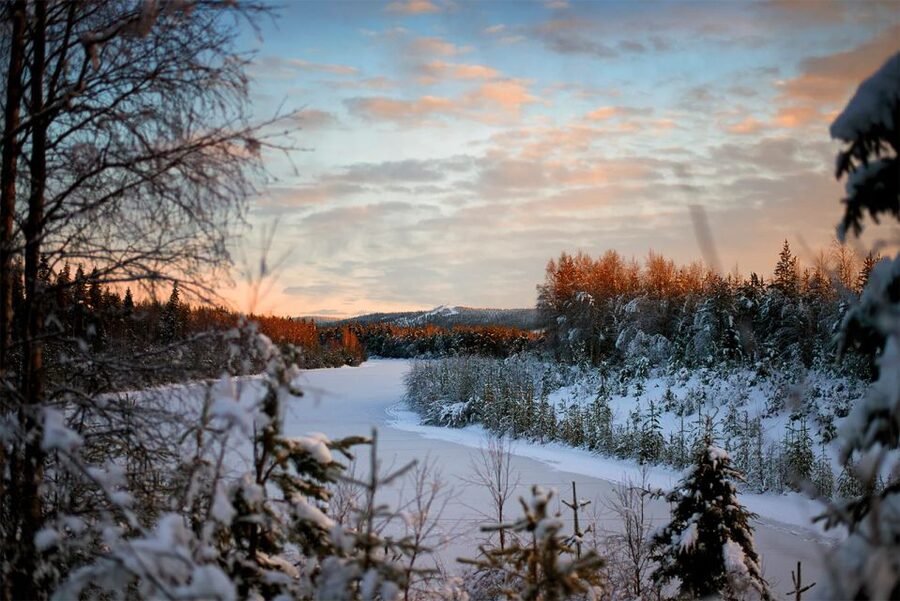 From Rovaniemi: Vikaköngäs Forest Hiking Tour - Timing, clothing, and practical planning