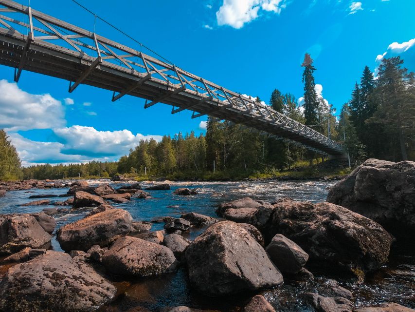 From Rovaniemi: Vikaköngäs Forest Hiking Tour - The forest walk mixes easy distance with real texture
