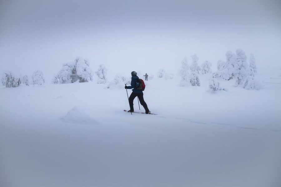 From Rovaniemi: Winter Wonderland Hike with a Hot Drink - Key points to know before booking