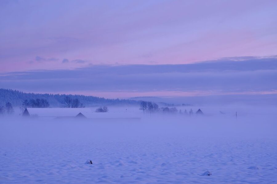 From Rovaniemi: Winter Wonderland Hike with a Hot Drink - Reaching the windy summit