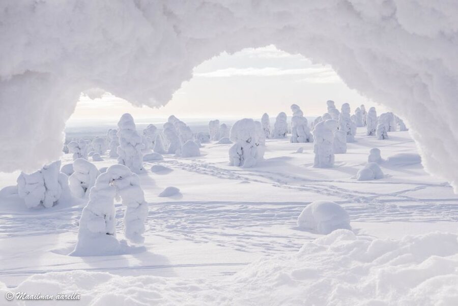 From Rovaniemi: Winter Wonderland Hike with a Hot Drink - The hut, fire, tea, and cookies